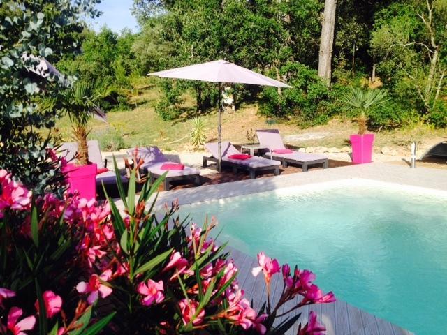 Apartamento La Bastide de l'Issole Besse-sur-Issole Habitación foto